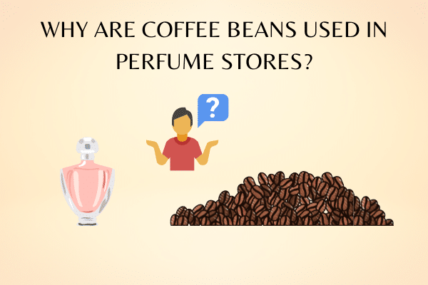 Why Are Coffee Beans Used In Perfume Stores?