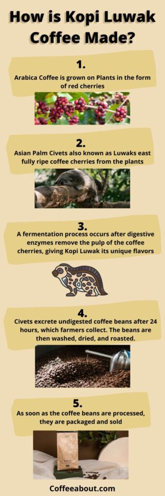 How is kopi luwak coffee made