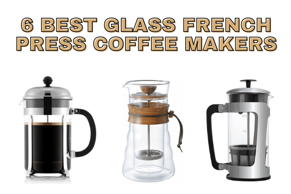 glass french press