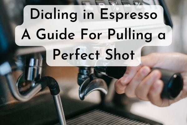 Dialing in Espresso A Guide For Pulling a Perfect Shot