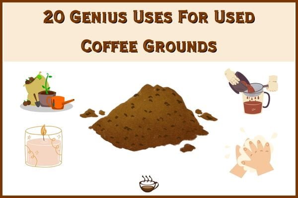 Genius Uses For Used Coffee Grounds