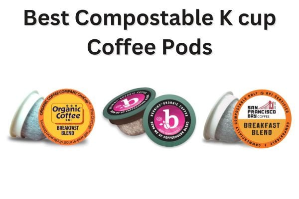 Tayst Coffee Roaster Tayst Compostable Coffee Pods Variety Roast Biodegradable K Cups Compatible with Keurig 100% Compostable Single Serve Coffee Po