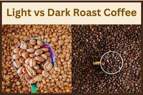 Light vs Dark Roast Coffee