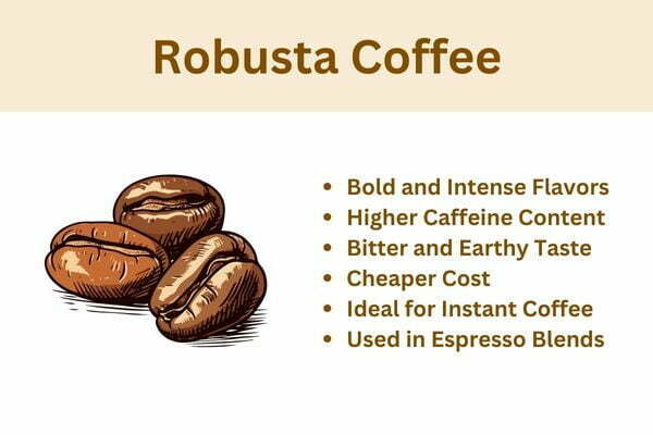 what-is-robusta-coffee-all-you-need-to-know