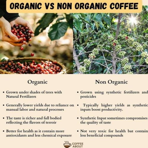 Organic Coffee Vs Conventional Coffee