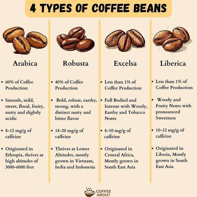 Types Of Coffee Beans Explained (Varieties And Cultivars)