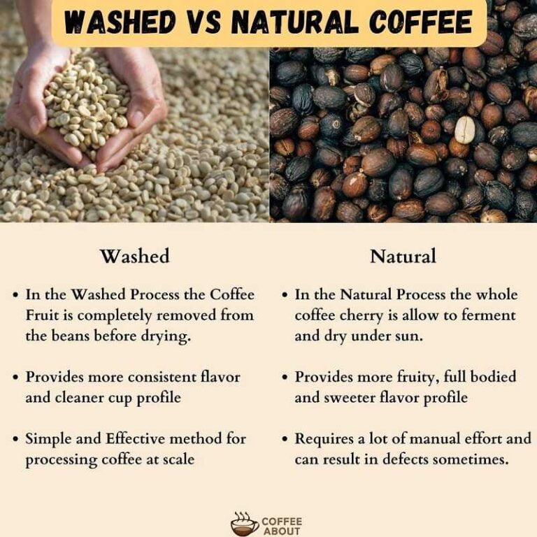 Washed Vs Natural Coffee (Which Processing Is Better?)