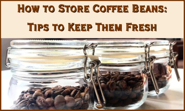 How to Store Coffee Beans Tips to Keep Them Fresh