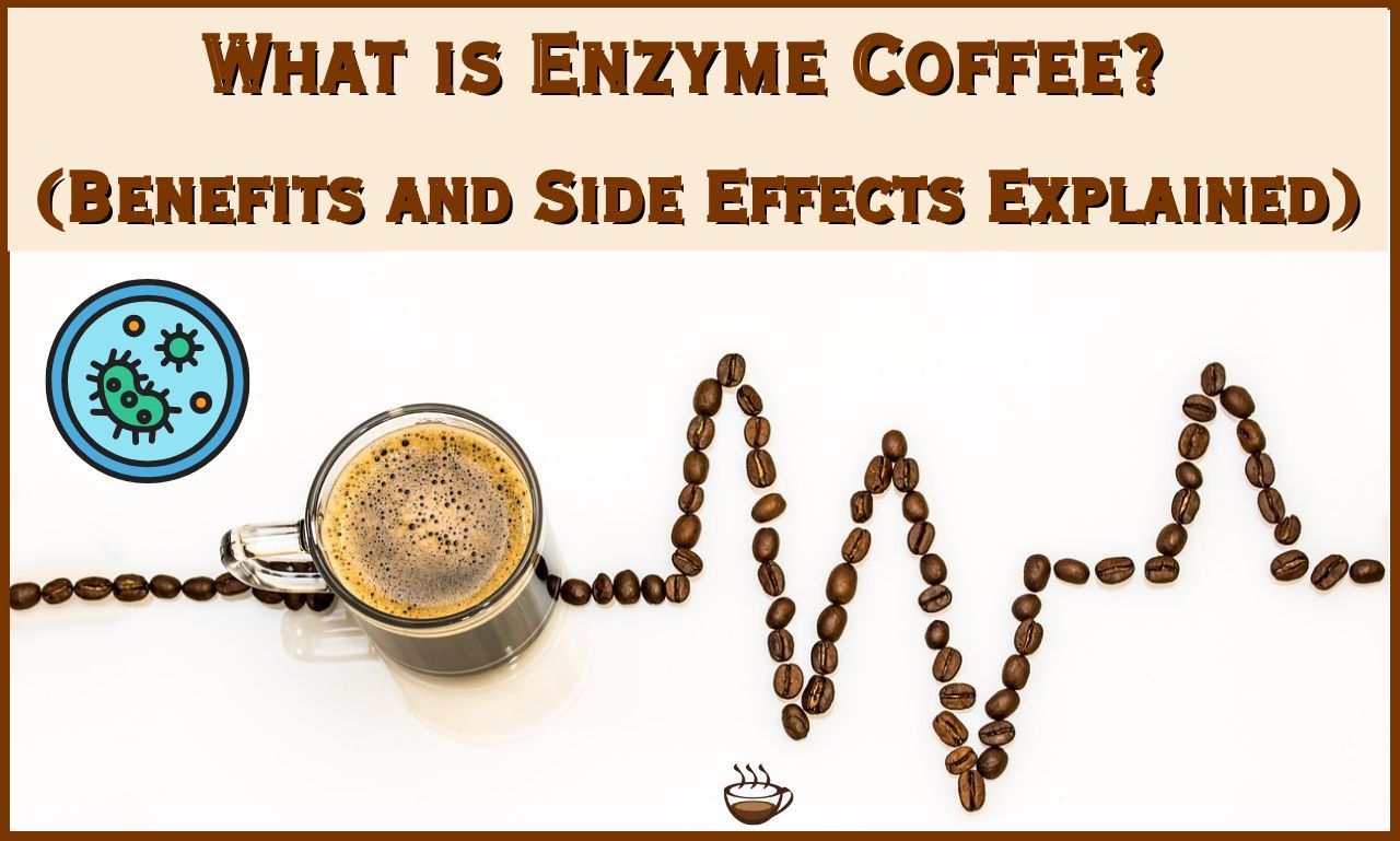 Enzyme Coffee
