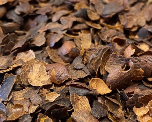 How is Cascara Coffee Made