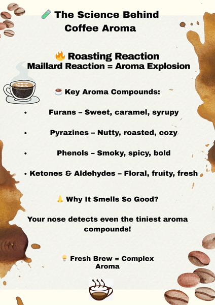 The science behind coffee aroma