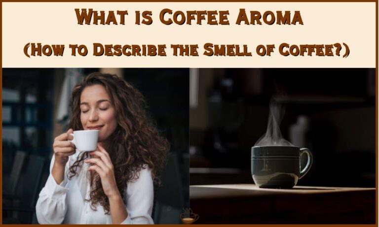 What is Coffee Aroma
