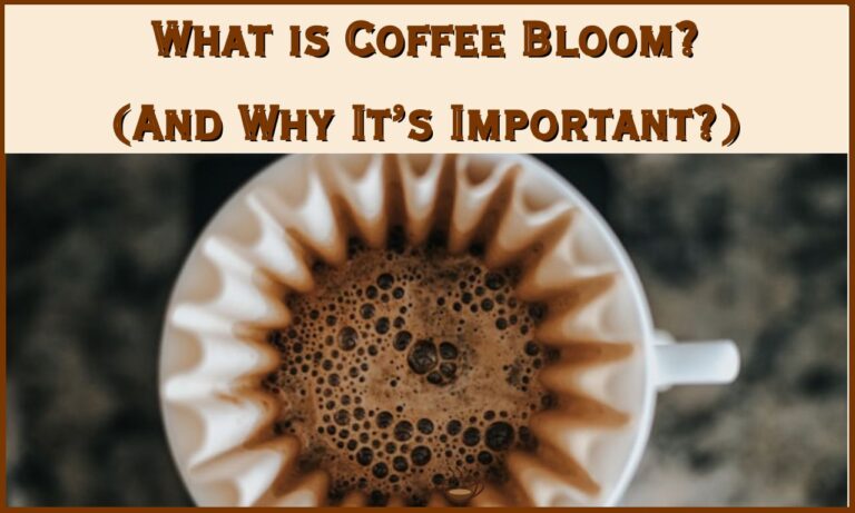What is Coffee Bloom