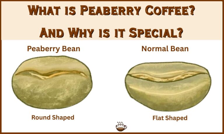 What is Peaberry Coffee