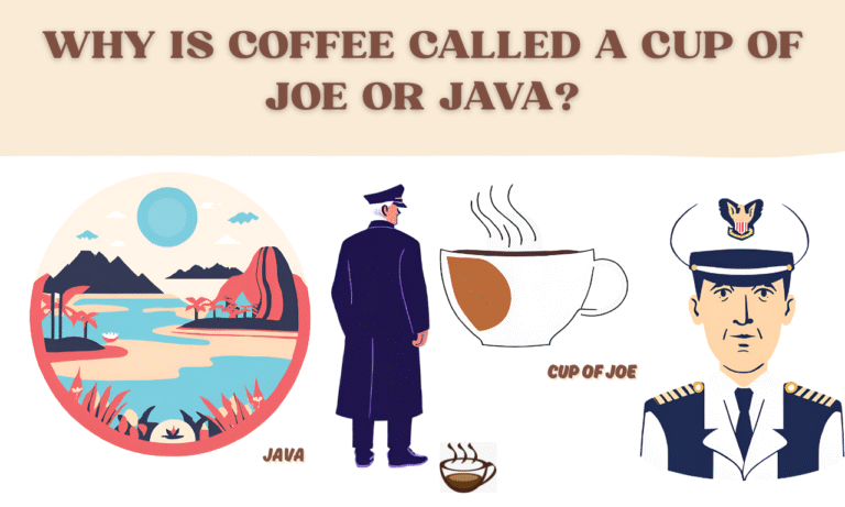 Why is Coffee Called a Cup of Joe
