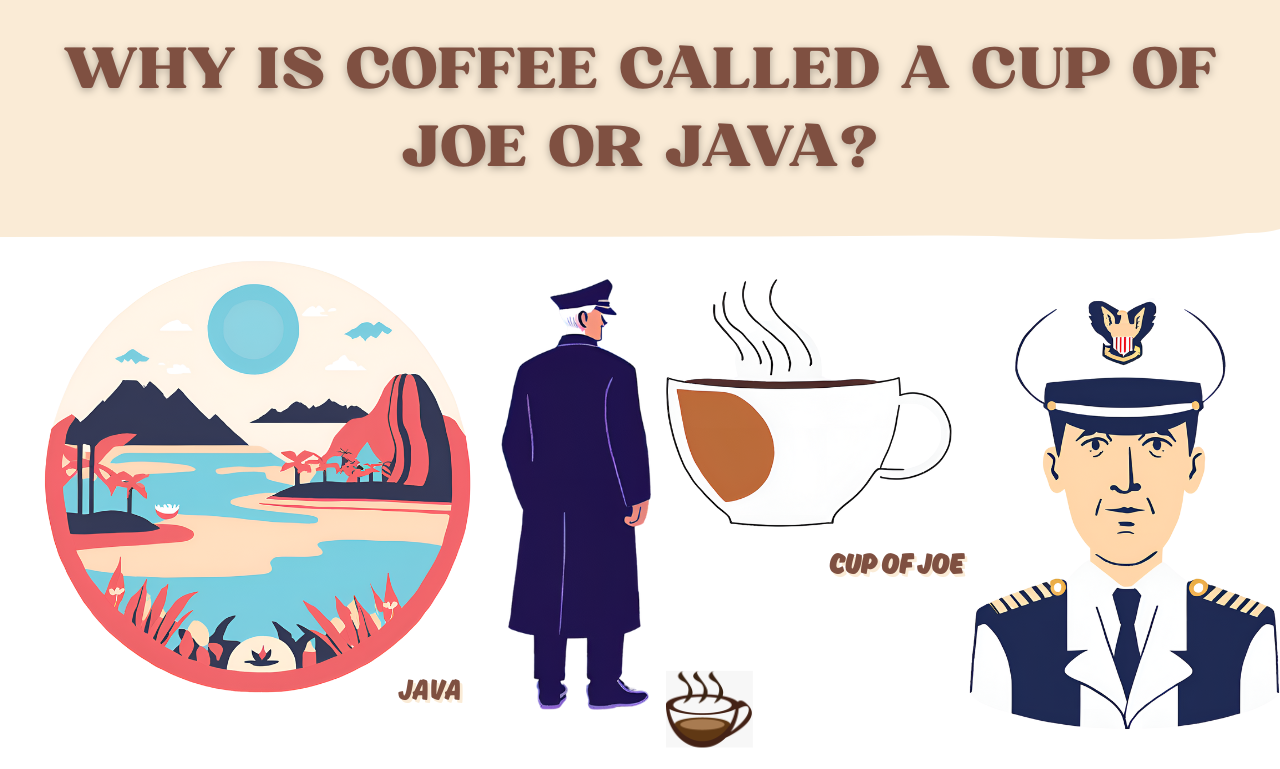 Why is Coffee Called a Cup of Joe