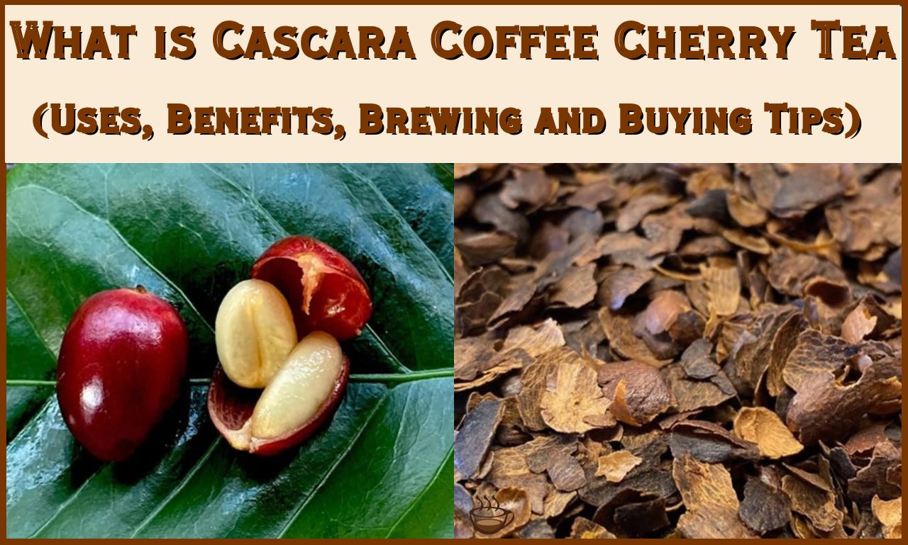 what is Cascara Coffee