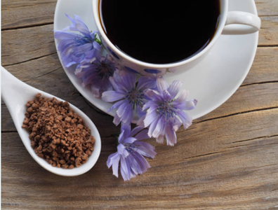 Chicory Coffee Drink