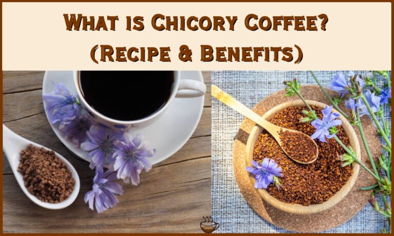 What is Chicory Coffee