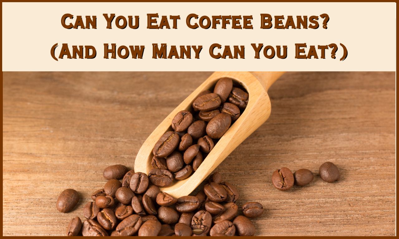 Can You Eat Coffee Beans