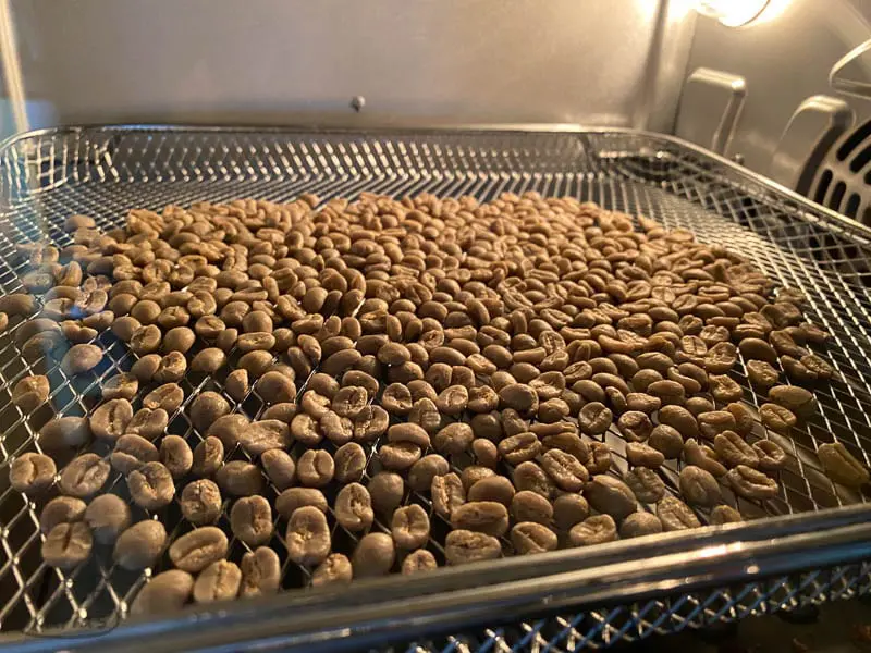 Roasting in the Oven